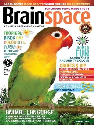 cover image of Brainspace